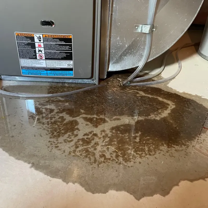 Appliance Leak Cleanup in Flemingsburg, KY