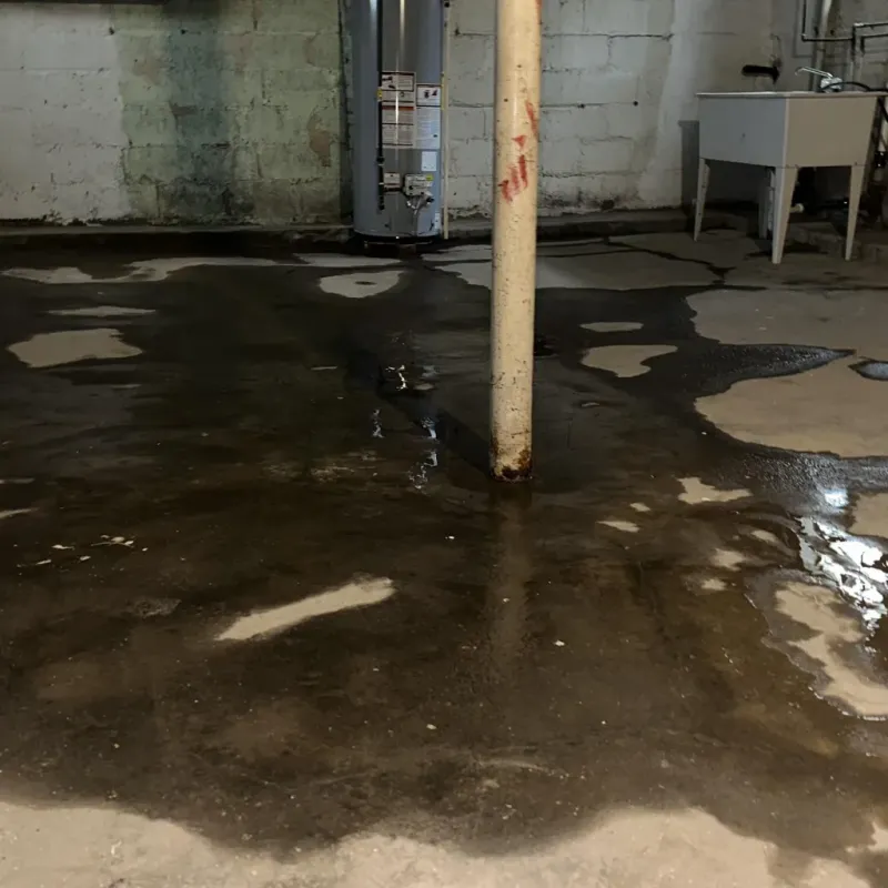 Emergency Water Extraction And Removal in Flemingsburg, KY